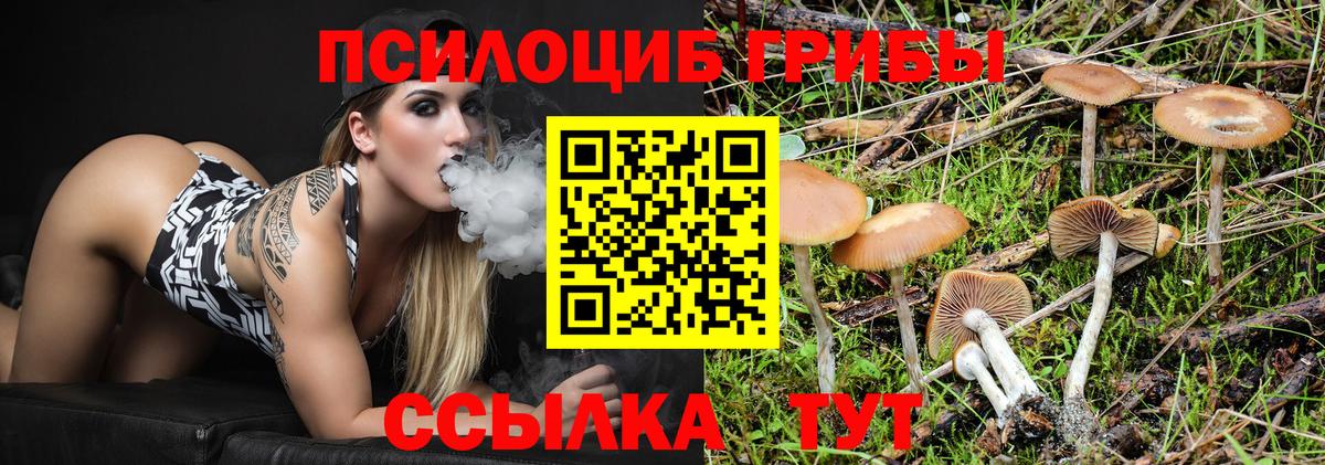 Галлюциногенные грибы мицелий  Галлюциногенные грибы Psilocybe  Вход с VPN  Полевской 